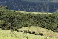 ONS estima investir R$ 60,7 bi em obras de transmissão de energia até 2027