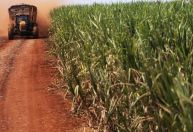 Venda de etanol sobe 1,2% na 1ª quinzena com impulso de anidro, diz Unica