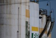 Petrobras bate recorde de produção de gasolina e vendas crescem 26% em junho