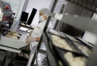 Fabricação de produtos alimentícios foi a principal atividade industrial no Brasil em 2022, aponta IBGE
