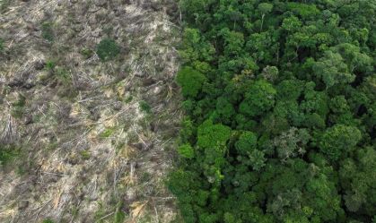 BB e Banco Mundial encaminham cooperação de US$ 400 mi para recuperação da Amazônia