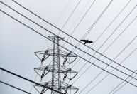 Mercado livre de energia fica mais acessível a PMEs em 2024; entenda o que muda