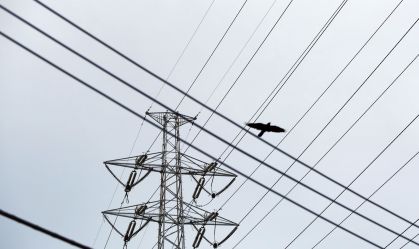 Setor elétrico: fundos de investimentos podem acelerar fusões, diz analista