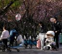 China oferecerá US$ 500 por ano às famílias que tiverem bebês