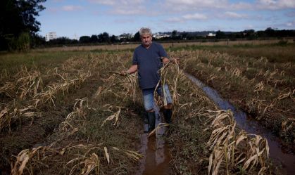 Agro do RS estima perdas de R$ 3 bi e uma década para recuperar produções inundadas