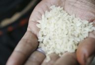 Oposição apresenta pedido na Justiça para barrar novo leilão do arroz