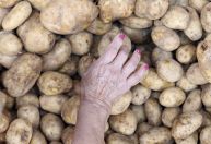 Preços da alface e da batata caem no atacado em janeiro, aponta Conab