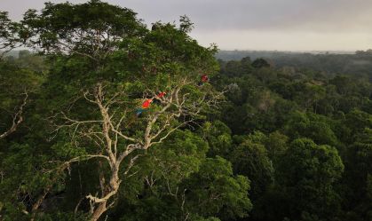 Análise: Saída dos EUA do Acordo de Paris é desafio para a COP30
