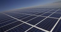 COP30: Brasil é um dos maiores líderes em energia solar