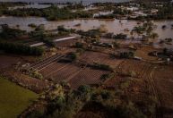 CMN autoriza prorrogação de dívidas de agricultores atingidos por inundações no RS