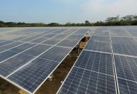 Waack: Politicagem no caminho da transição energética
