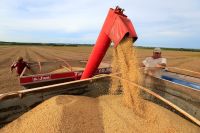 CNA: Fatia do agro no PIB deve fechar 2025 no maior nível em 22 anos