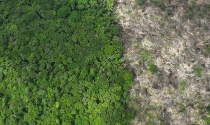 Amazônia: temperatura marca 1,5°C acima da média; limite do Acordo de Paris