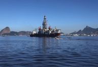 Margem Equatorial: Navios "extras" para resgate animal destravaram licença