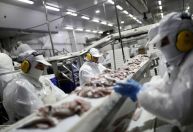 Produção de peixes de cultivo supera 1 milhão de toneladas no Brasil