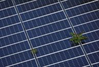 Leilão contrata soluções de energia solar, diesel e baterias para AM e PA