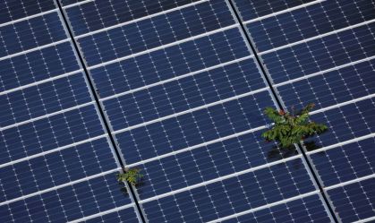 Iguá anuncia que passa a operar 100% com energia solar no Rio