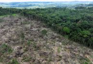 Mudanças climáticas podem levar 3 milhões à pobreza extrema no Brasil, diz Banco Mundial