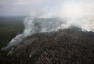Brasil bate recorde de emissão de carbono e tem quase 100% mais queimadas em 2024