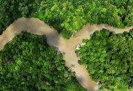 Belém é oficializada como sede da COP30 em 2025