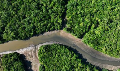 Estado do Tocantins oferecerá R$ 2,5 bilhões em créditos de carbono