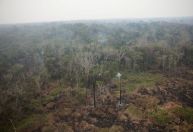 Com redução no combate, incêndios na Amazônia brasileira batem recorde no início em 2024