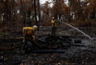 STF reconhece omissão do Congresso em aprovar lei sobre exploração e preservação do Pantanal