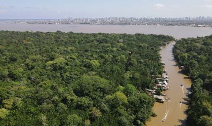 Análise: Entenda como o Fundo Florestas Tropicais para Sempre vai funcionar