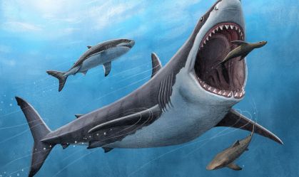 Cientistas apontam motivo que pode ter exterminado o tubarão mais temível que já existiu