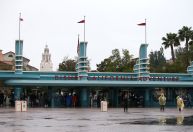 Disney é processada por alergia e morte, mas quer arquivamento porque cliente assinava streaming