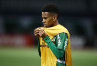 Botafogo faz proposta por ex-Palmeiras; negociação é considerada "difícil"