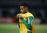 Botafogo faz proposta por ex-Palmeiras; negociação é considerada "difícil"