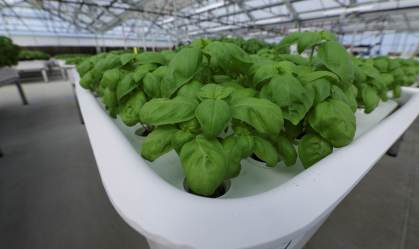 Fundo de tecnologia de Bill Gates aposta em startup de 'robôs agricultores'