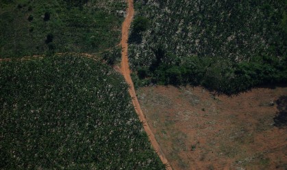 Área de alertas de desmatamento na Amazônia em outubro é a maior para o mês em cinco anos