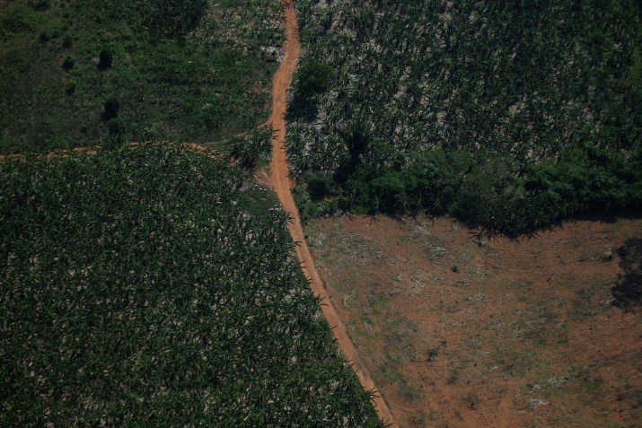 Vista aérea de região desmatada da Amazônia em Rondônia / Reuters