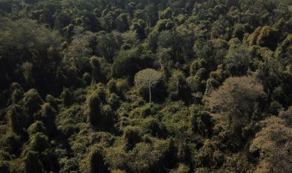 COP30: Governo brasileiro e ONU detalham iniciativas éticas sobre mudanças