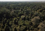 COP30: Uso de terras é mapeado com inteligência artificial