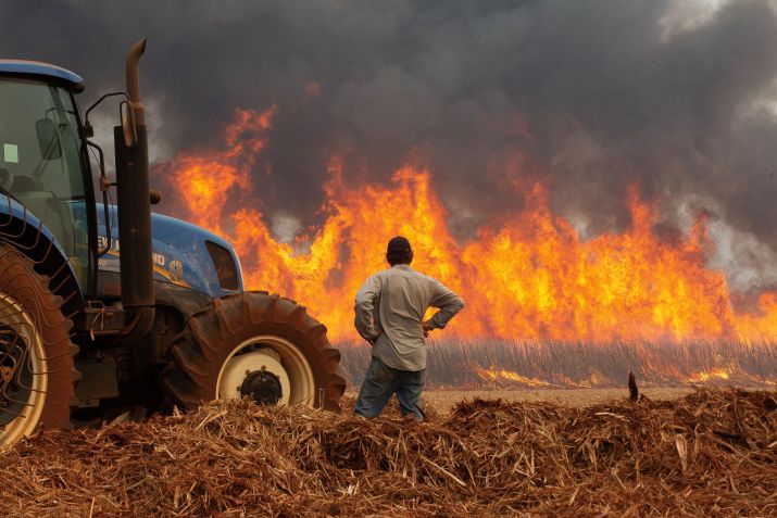 Agricultor observa plantação de cana-de-açúcar queimar em Dumon (SP) • REUTERS/Joel Silva