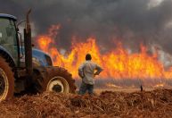 Governo federal vai enviar aviões ao interior de SP para combater incêndios