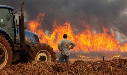 Governo federal vai enviar aviões ao interior de SP para combater incêndios