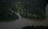 Análise: Margem Equatorial não deve frear os biocombustíveis