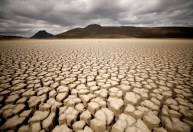 ONU: Mudança climática pode reduzir 80% da produção agrícola na África até 2050