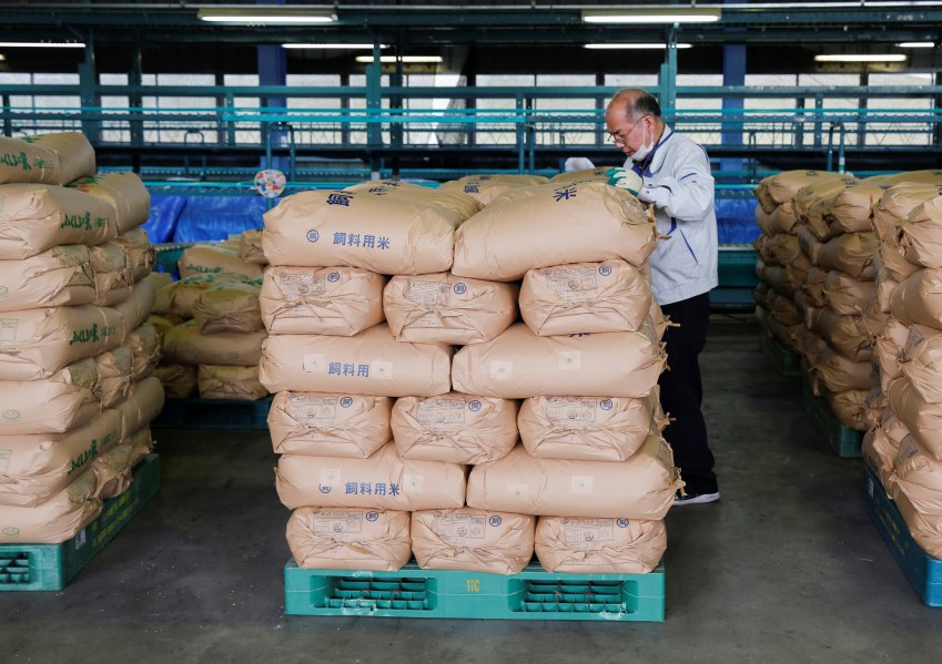 Fazendeiro checa sacas de arroz produzidas em Iwaki, região de Fukushima /