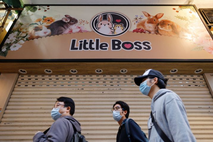 Pet shop Little Boss foi fechado em Hong Kong após governo anunciar o abate de 2 mil hamsters por causa da Covid-19 / Tyrone Siu/Reuters (18.jan.2022)