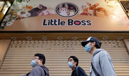 Hong Kong ordena abate de hamsters após Covid-19 contaminar animais de estimação