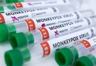 780 casos de varíola dos macacos foram registrados fora da África, segundo OMS
