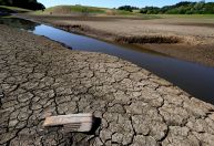Reino Unido declara seca em partes da Inglaterra durante onda de calor