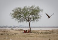 Crematório fica lotado após onda de calor atingir cidade no norte da Índia
