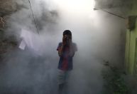 OMS alerta para aumento da dengue em meio ao aquecimento global