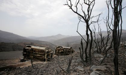 Incêndios florestais causam 34 mortes na Argélia; Mediterrâneo vê rastro de destruição